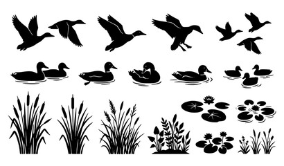 Fototapeta premium Pond Wildlife Black Silhouette Collection with Flying Ducks Floating Birds Water Plants Reeds and Aquatic Vegetation
