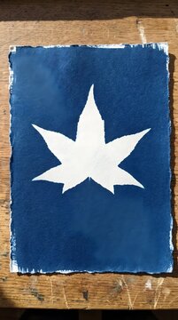 Autumn Maple Leaf Cyanotype Sun Print Botanical Silhouette Blue Art