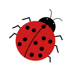 ladybug on white background © Dzulaika