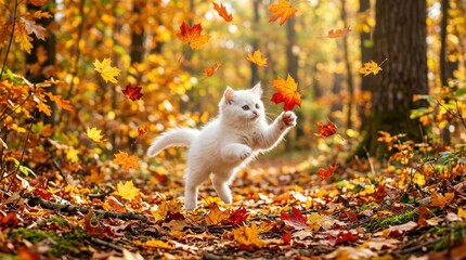 Obraz premium Playful White Kitten Leaping Through Falling Autumn Leaves in a Vibrant Forest