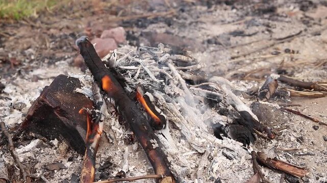 A burning bonfire with ashes, coals and a small flame on the ground. Small tongues of fire. A dying bonfire with ashes and charred branches on sandy soil. Tourism, camping vacation. Hot ashes
