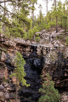 Small waterfall trickling down dark rock cliff in pine forest