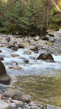 Mountain river rushing over rocks and boulders at Lynn Canyon in Vancouver, with white water rapids, pebble banks and green forest in the background.