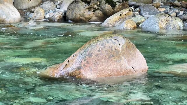 Large smooth boulder in crystal-clear emerald river water at Lynn Canyon in Vancouver, showing a granite rock surrounded by turquoise mountain stream.