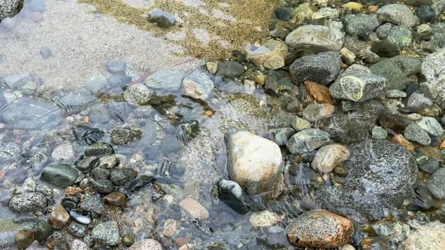Colorful smooth pebbles and stones underwater in a crystal-clear river at Lynn Canyon in Vancouver, showing rounded rocks through transparent shallow water.
