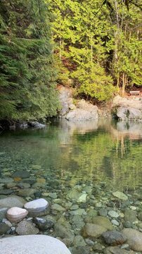 Calm emerald pool of clear water surrounded by rocks and pine forest at Lynn Canyon in Vancouver, with reflections and a bench on the tranquil shoreline.