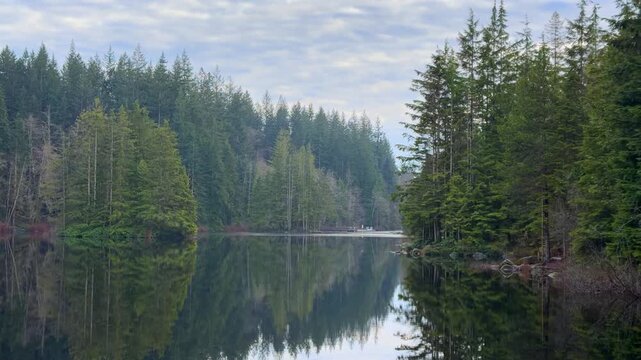 Calm Rice Lake surrounded by evergreen forest and mountains in Vancouver, with a thin layer of ice on the water reflecting tall pine trees on a winter day.