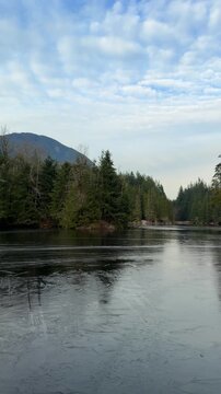 Calm Rice Lake surrounded by evergreen forest and mountains in Vancouver, with a thin layer of ice on the water reflecting tall pine trees on a winter day.