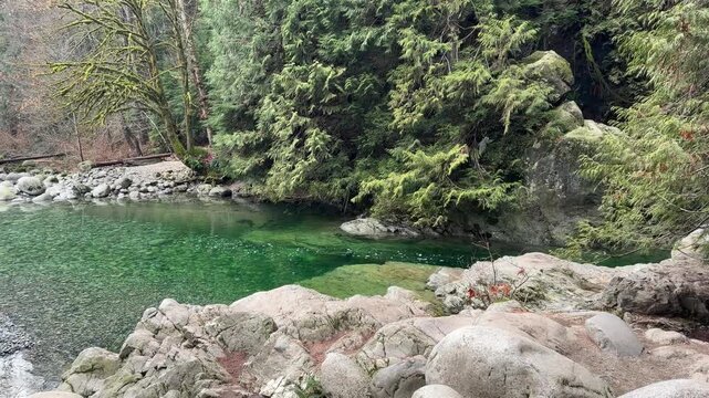 Clear emerald green pool of water surrounded by granite boulders and pine forest at Lynn Canyon in Vancouver, showing a tranquil natural swimming hole.