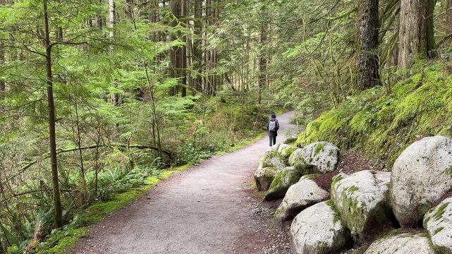 Hiker with backpack walking along a forest trail near Rice Lake in Vancouver, viewed from behind on a path through lush green rainforest with mossy boulders.