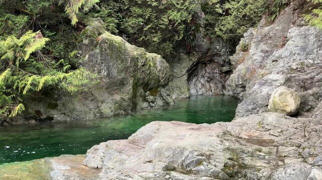 Clear emerald green pool of water surrounded by granite boulders and pine forest at Lynn Canyon in Vancouver, showing a tranquil natural swimming hole.