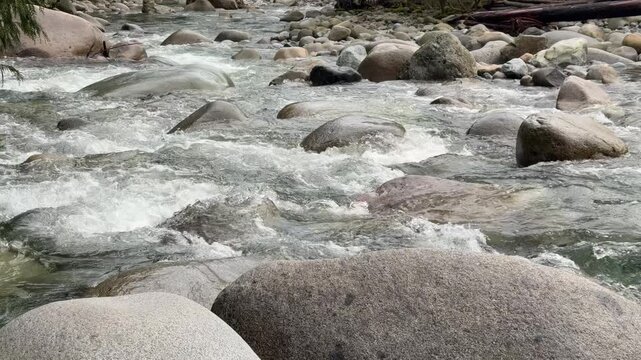 White water rapids rushing over smooth granite boulders in a mountain river at Lynn Canyon in Vancouver, showing turbulent flowing water and rocky riverbed.