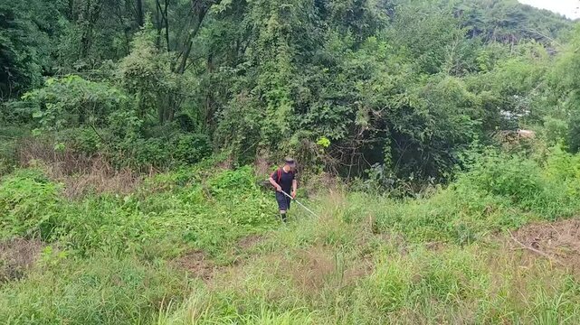 Man Trimming Overgrown Grass and Brush with String Trimmer Outdoors

