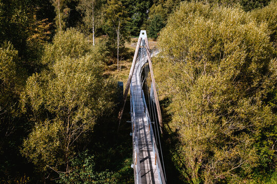 Passerelle pi&eacute;tonni&egrave;re dans un parc arbor&eacute;