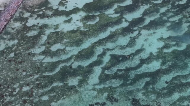 Aerial view of the shallow turquoise waters and coral reef patterns surrounding Curieuse island in Baie Sainte Anne, Seychelles.