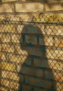 Shadow of a chain link fence projected on an old yellow brick wall in golden sunlight.