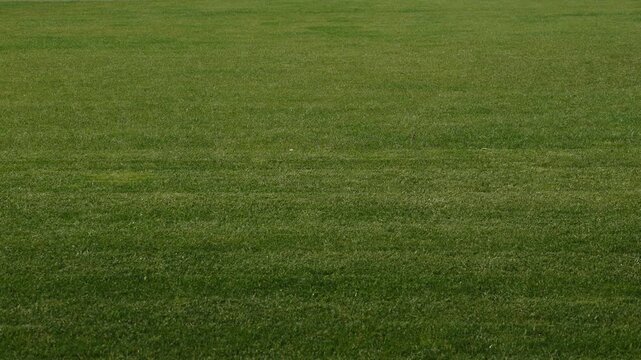 Profile medium shot view of a soccer field being mowed with a lawnmower.