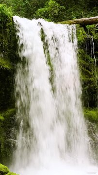 Amazing waterfall and moss covered rocks in Oregon. Vertical video.