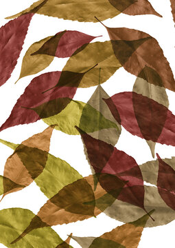 Fall background with overlapping dark red, brown, orange and yellow autumnal leaves and bitmap texture vertical handmade collage