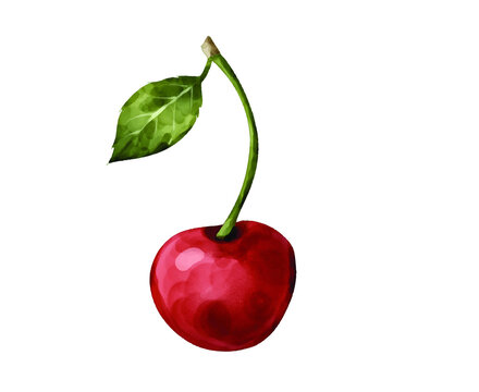 Watercolor illustration of a single ripe red cherry with a green stem and leaf, fresh organic fruit hand-painted clip art isolated on white or transparent background for food design element