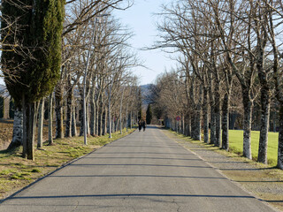 Obraz premium Beautiful view of the countryside around Siena in Tuscany