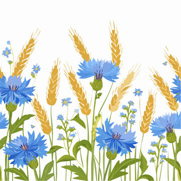 Seamless pattern of cornflowers and wild grass