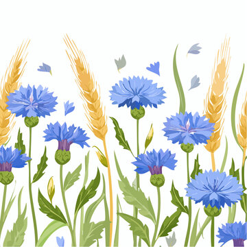 Seamless pattern of cornflowers and wild grass