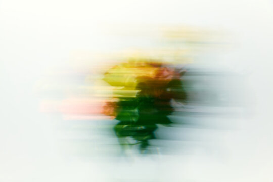 Abstract Motion Blur of Colorful Flower Bouquet on White Background