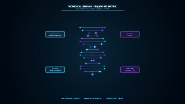 modern infographic template