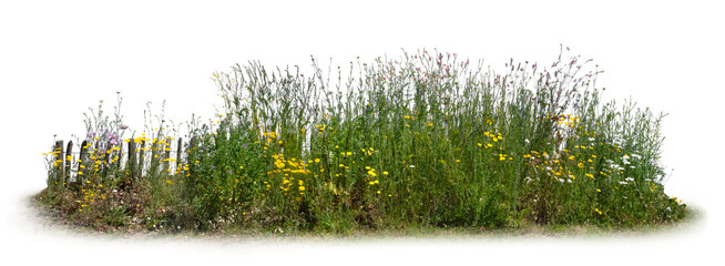 Fototapeta premium Bed of flowers in a garden with a fence isolated on white and transparent background