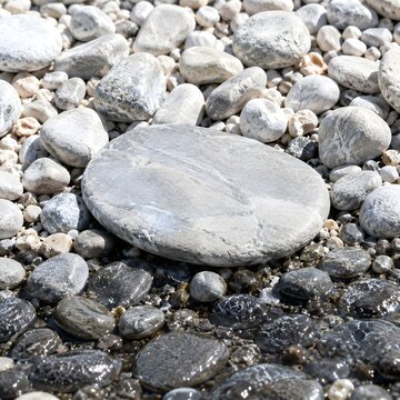 Pale flint pebble beach with a broad flat resting stone set among the shingle with dry upper stones and a damp darker band