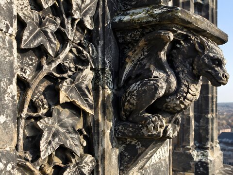 Carved stone panel of vine leaves beside a squat dragon corbel