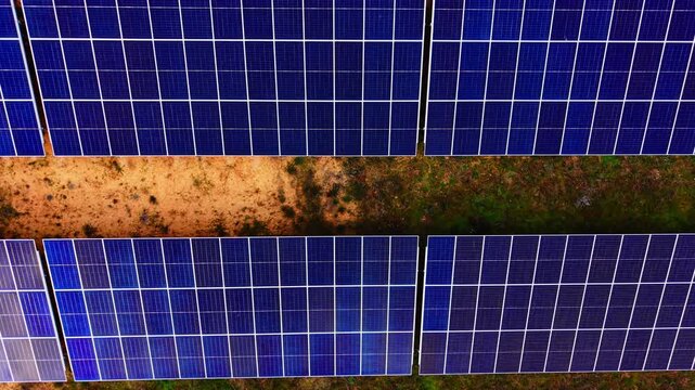 Solar panel rows split by dirt path. Overhead drone view of dark blue photovoltaic modules framed by bare soil and patchy green vegetation.