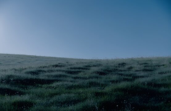 Grassy meadow at night under a clear dark blue sky