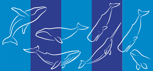 Collection of stylized white line drawings of various whales and a narwhal on a blue striped background. © Riki