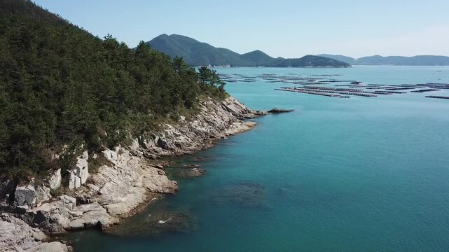 Abalone Abalone Farm Fresh Abalone Seafood Raw Abalone Shellfish Korea 전복 전복양식장 활전복 수산물 참전복 해산물 패류 식재료 한국