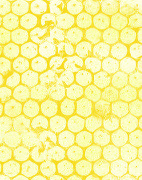 seamless pattern with honeycomb