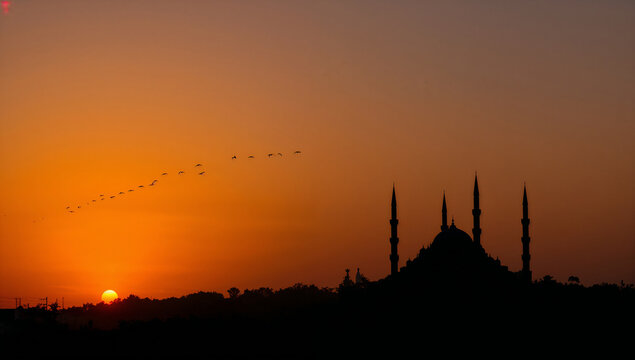 Silhouette of a mosque and birds flying at sunset with vibrant orange sky