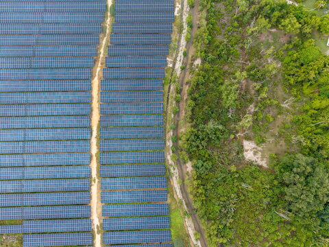 Aerial view of large scale solar photovoltaic power plant with rows of solar panels adjacent to lush green vegetation and a dirt path in Central Seberang Perai, Penang, Malaysia.