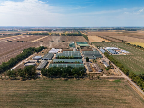 Aerial view of cattle farm, barns and fields in rural Hungary countryside