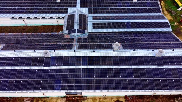 Overcast light over rows of solar panels on a farm rooftop. Photovoltaic modules line a corrugated metal roof with ventilation pipes and rust patches.