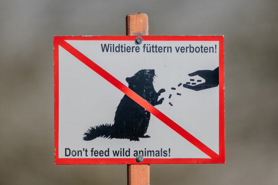 Sign Feeding wild animals prohibited