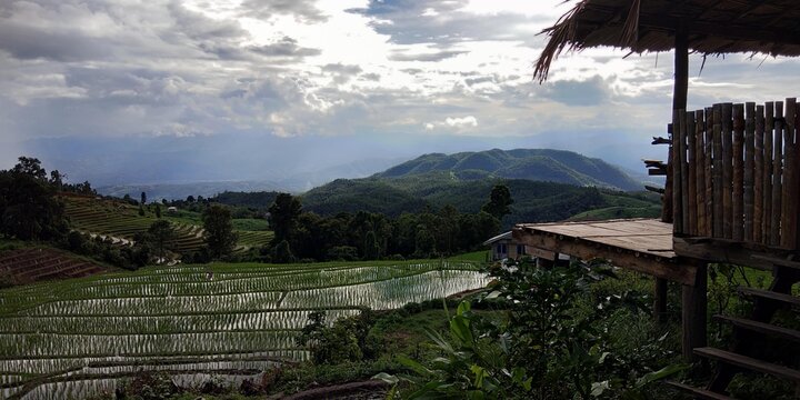 rice terraces in bali