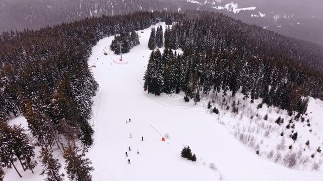 Multiple skiers descend a forested piste beneath a chairlift. Pine trees flank the groomed snow run as a mountain ridge rises in the misty background.