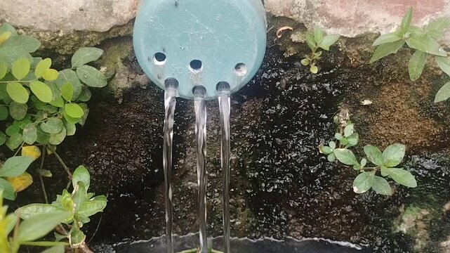 Water Flowing From Three Drainage Outlets Surrounded by Green Plants