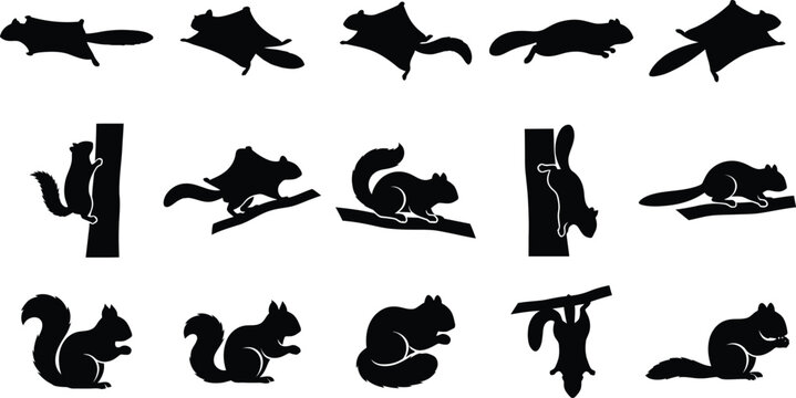 Flying squirrel and regular squirrel vector silhouette collection set isolated on white background