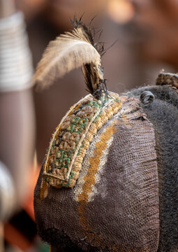 Dassanech man with clay hair cap and feather, Omorate, Ethiopia