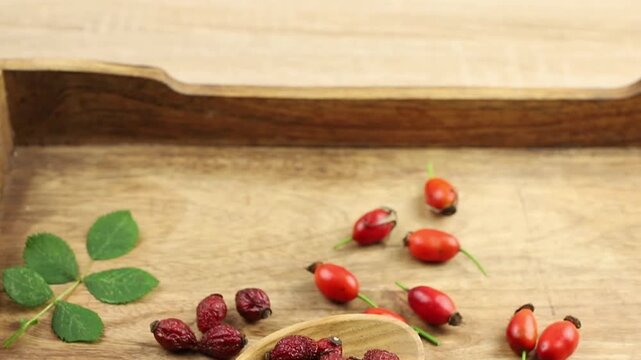Dried Rosa canina, the dog rose or rose hip berries on wood spoon, decorated with fresh berries and green rose hip leaves, studio composition.