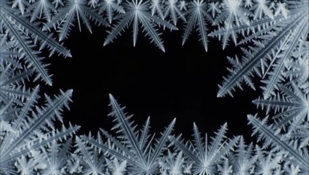 Natural snowflake frost patterns forming a delicate winter border on dark glass background.