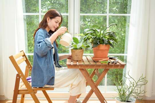 Young Asian woman caring for indoor houseplants by watering potted plants in a bright modern home